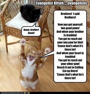 Evangelist Kitteh.....evangelizes
