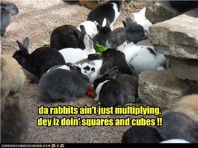 da rabbits ain't just multiplying, dey iz doin' squares and cubes !!