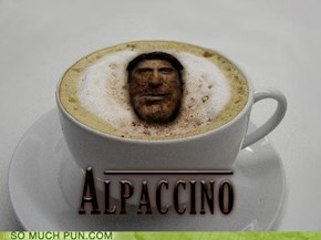 Alpaccino