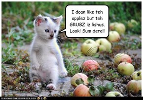 I doan like teh applez but teh GRUBZ iz lishus. Look! Sum dere!!
