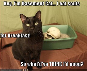 Hey, I'm Basement Cat... I eat souls for breakfast! So what'd'ya THINK I'd poop?