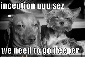 inception pup sez  we need to go deeper