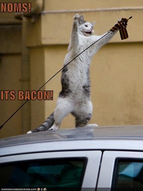 NOMS! ITS BACON!