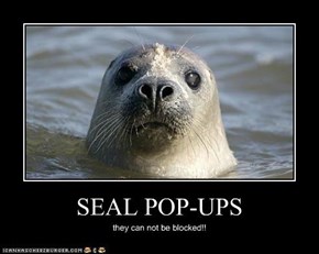 SEAL POP-UPS