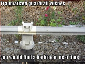 Traumatized guardrail wishes  you would find a bathroom next time