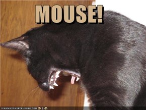 MOUSE!