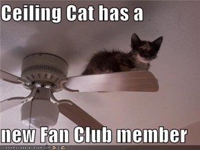 Ceiling Cat has a   new Fan Club member
