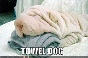 TOWEL DOG