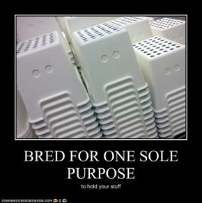 BRED FOR ONE SOLE PURPOSE