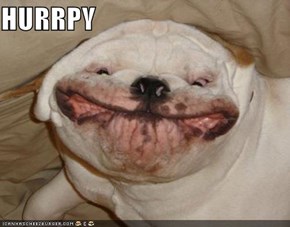 Smiley Goggie