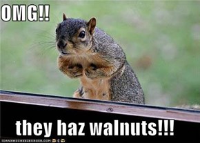 OMG!!  they haz walnuts!!!