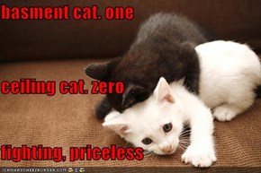 basment cat. one ceiling cat. zero fighting, priceless