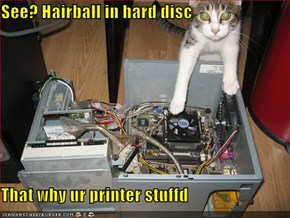 See? Hairball in hard disc  That why ur printer stuffd