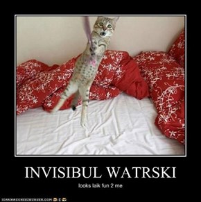 INVISIBUL WATRSKI