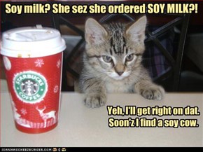 Soy milk? She sez she ordered SOY MILK?! Yeh, I'll get right on dat. Soon'z I find a soy cow.