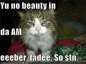 Yu no beauty in da AM eeeber, ladee. So stn.