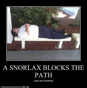 A SNORLAX BLOCKS THE PATH