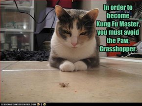 In order to become  Kung Fu Master, you must avoid the Paw, Grasshopper.