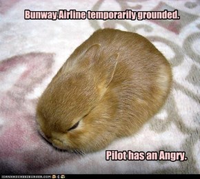 Bunway Airline temporarily grounded.