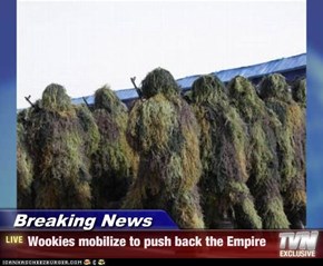 Breaking News - Wookies mobilize to push back the Empire