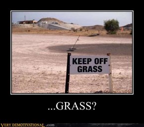 ...GRASS?