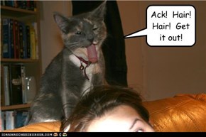 Ack!  Hair!  Hair!  Get it out!