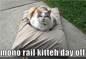 mono rail kitteh day off