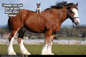 I thought you said that we were going "pony" riding?