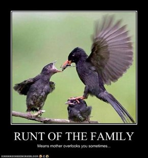 RUNT OF THE FAMILY