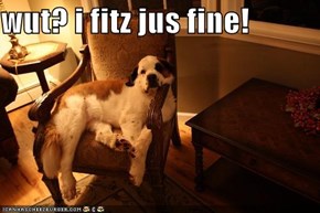 wut? i fitz jus fine!