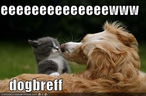 eeeeeeeeeeeeeewww     dogbreff