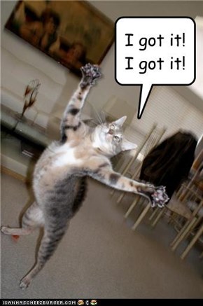 I got it! I got it!