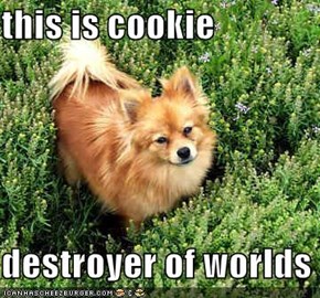 this is cookie   destroyer of worlds