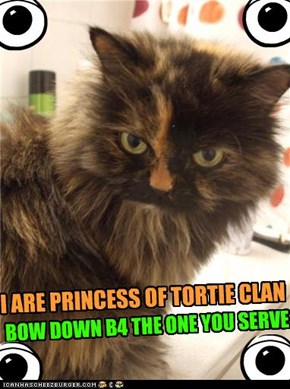 I ARE PRINCESS OF TORTIE CLAN