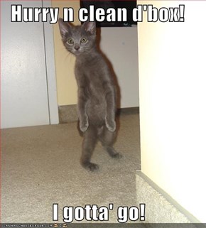 Hurry n clean d'box!  I gotta' go!