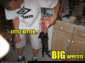 LITTLE KITTEH...