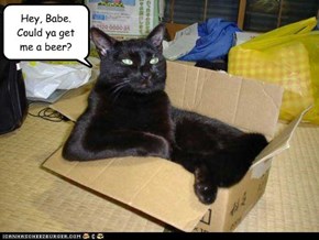 Hey, Babe.  Could ya get me a beer?