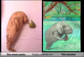 This sweet potato Totally Looks Like This manatee