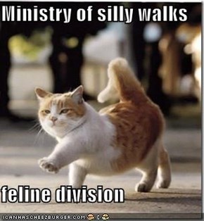 Ministry of silly walks  feline division