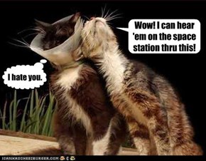 Kitteh has astronomical leanings.
