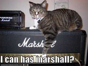 I can has marshall?