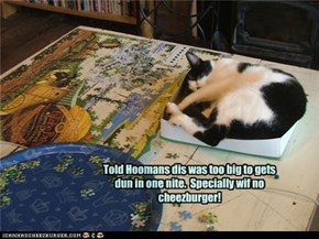 Told Hoomans dis was too big to gets dun in one nite.  Specially wif no cheezburger!