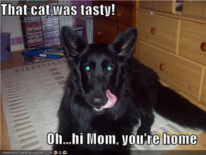 That cat was tasty!  Oh...hi Mom, you're home