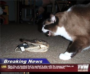 Breaking News - When the cat decided that he wanted to play with the mouse just then, an alligator head popped up from the basement, and scared kitteh.