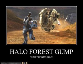 HALO FOREST GUMP