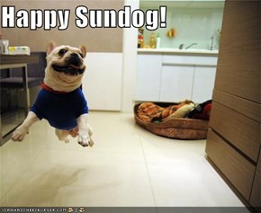 Happy Sundog!