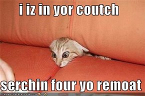 i iz in yor coutch  serchin four yo remoat