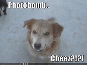 Photobomb..  Cheez?!?!