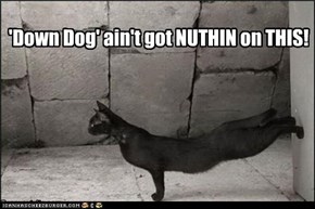 'Down Dog' Ain't Got Nuthin'