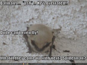 Batman! ....  *psh* ... He's overrated!! Dude can't even fly!  What'll they come up with next? Spiderman?